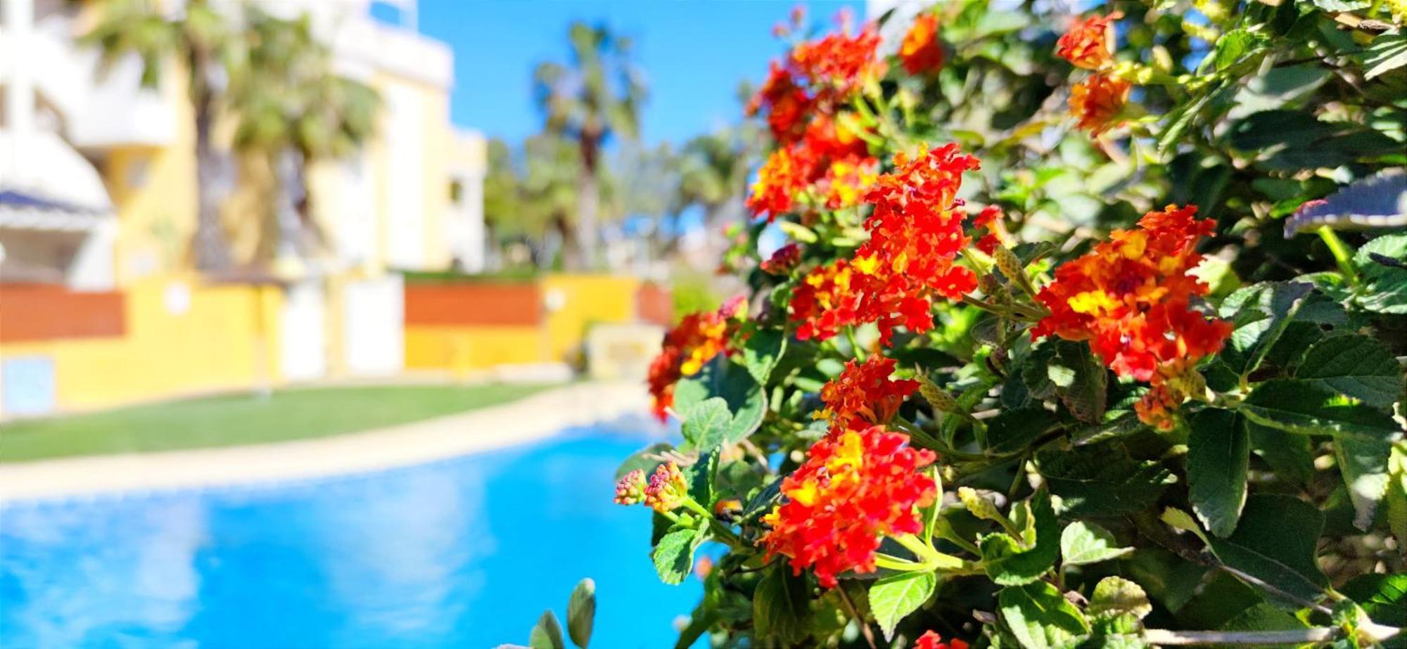 Apartamento Playa Sol By Denia Costa Екстериор снимка