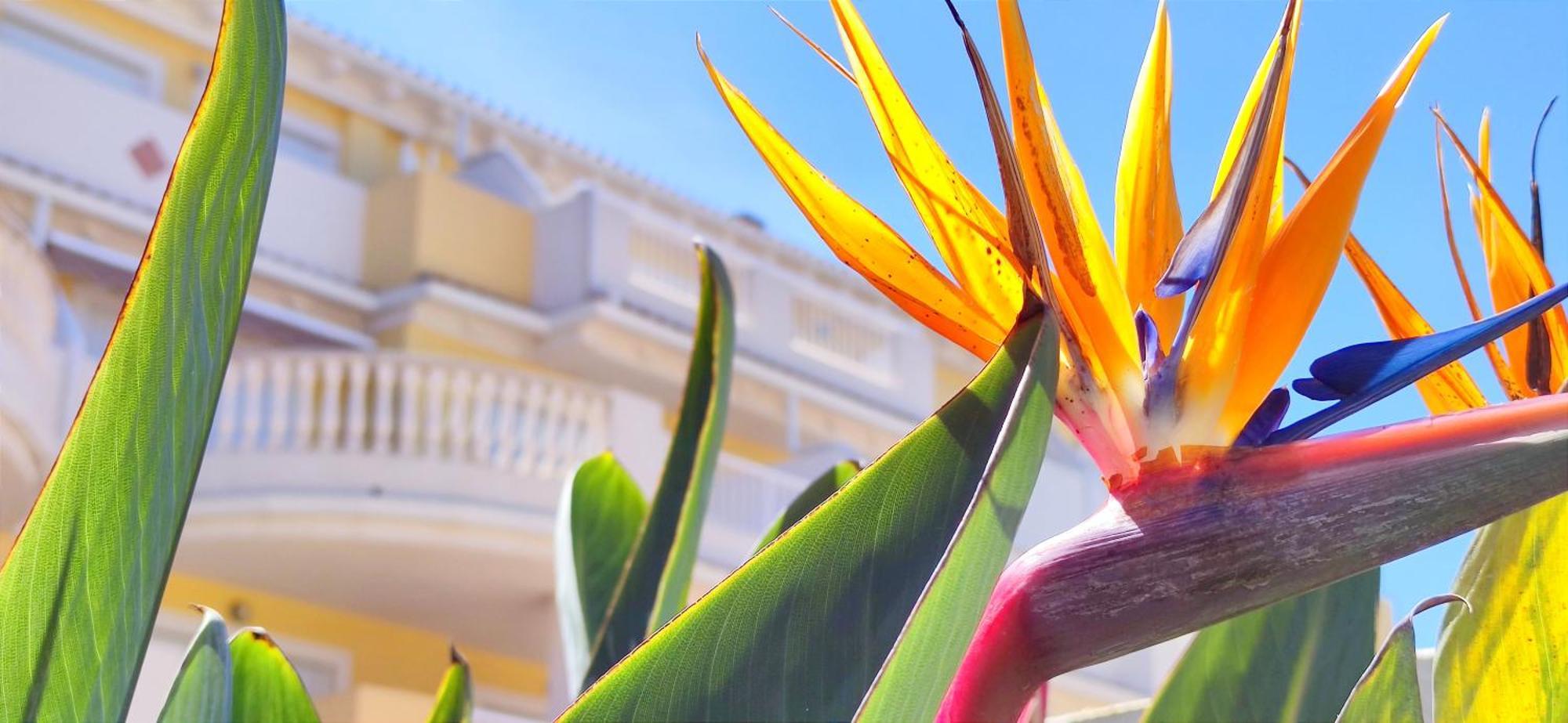 Apartamento Playa Sol By Denia Costa Екстериор снимка